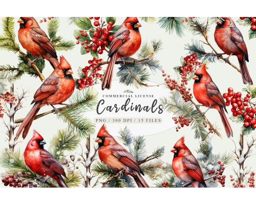 Tips Jual Red Cardinal Bird Clipart di Luar Negeri